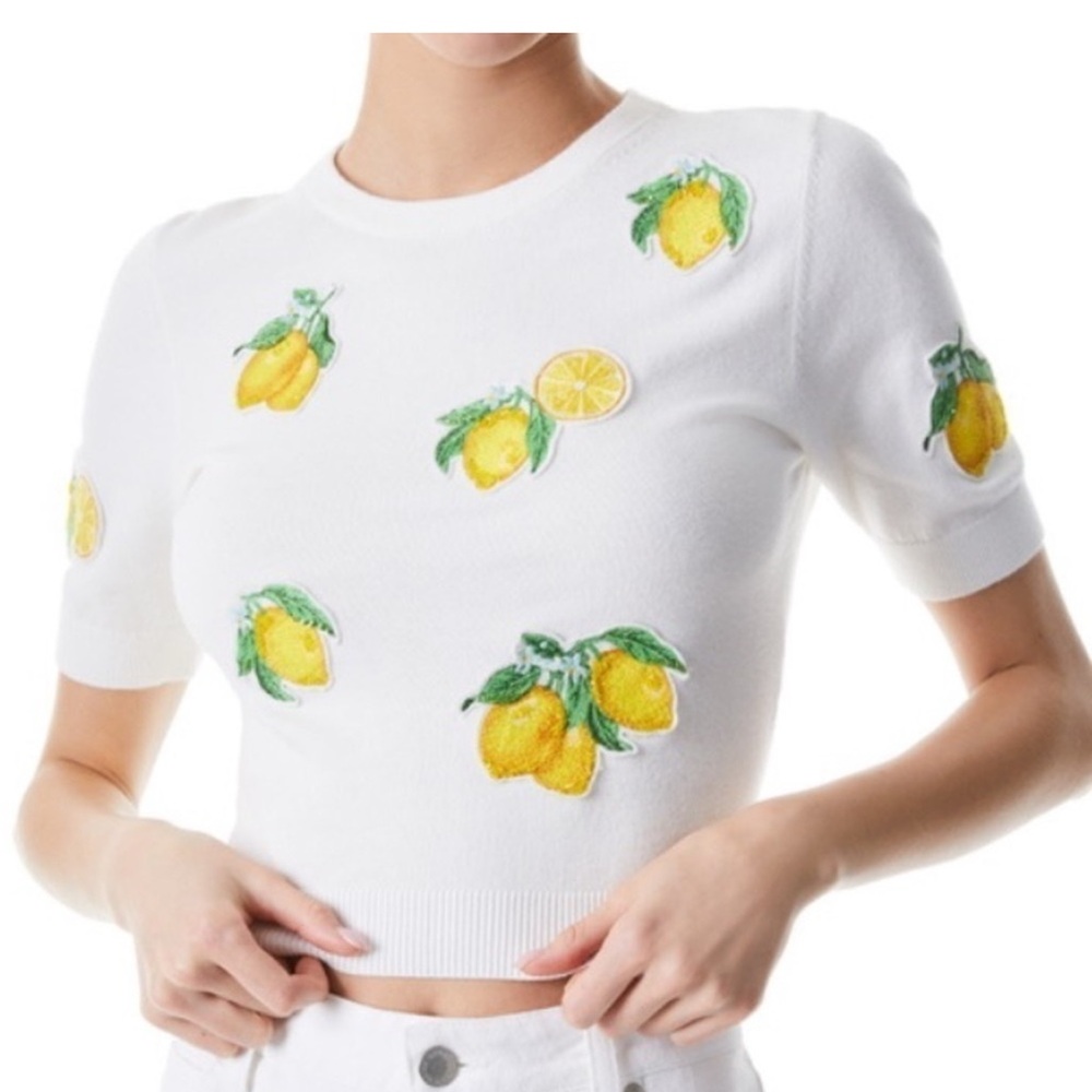 Alice + Olivia Lemon Patterned Knit Top